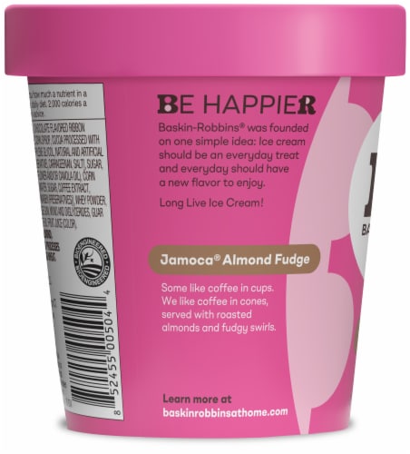 Baskin Robbins® Jamocha® Almond Fudge Ice Cream Pint Perspective: left