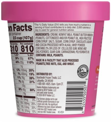 Baskin Robbins Peanut Butter 'N Chocolate Ice Cream Perspective: left