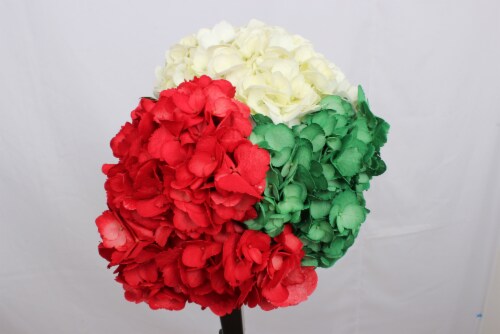 Patriotic Hydrangea Perspective: left