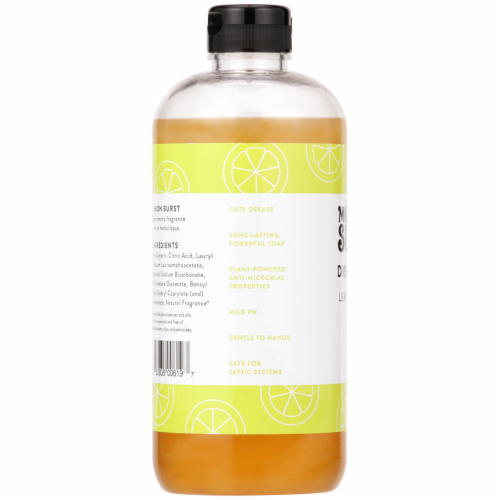 Molly's Suds Lemon Burst Dish Soap Perspective: left