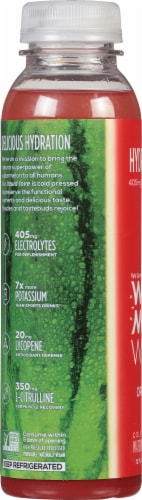 We Grow Water™ WTR MLN WTR™ Cold Pressed Watermelon Juice Perspective: left