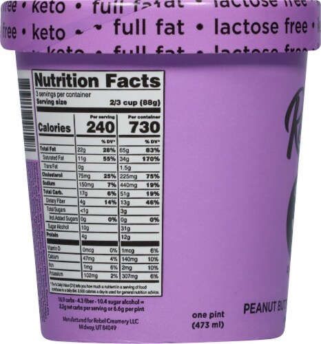 Rebel Keto Peanut Butter Caramel Chip Ice Cream Pint Perspective: left