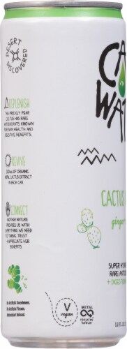 Cali Water® Organic Ginger Lime Cactus Water Can Perspective: left