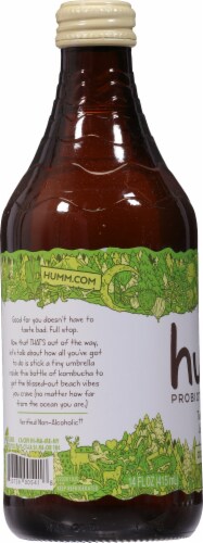 Humm Coconut Lime Kombucha Perspective: left