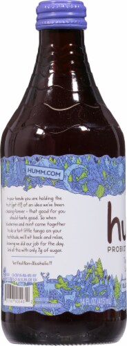 Humm Blueberry Mint Kombucha Perspective: left