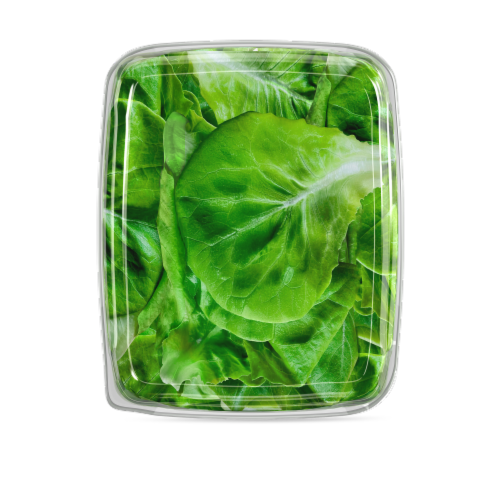 Gotham Greens® Butterhead Lettuce Perspective: left