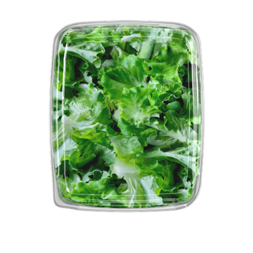 Gotham Greens® Greenhouse Crunch™ Lettuce Perspective: left