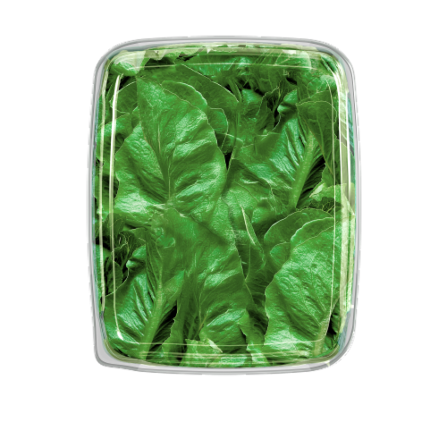 Gotham Greens® Romaine Lettuce Perspective: left