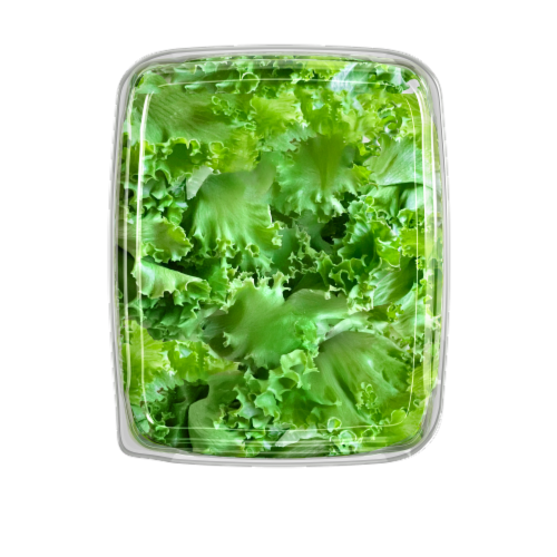 Gotham Greens® Crispy Green Leaf Lettuce Perspective: left