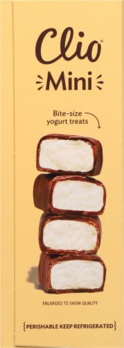Clio® Dark Chocolate Covered Greek Yogurt Minis - Vanilla Perspective: left