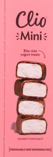 Clio® Dark Chocolate Covered Greek Yogurt Minis - Strawberry Perspective: left