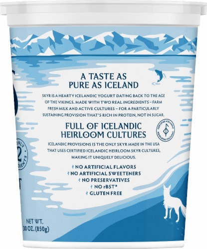 Icelandic Provisions Low Fat Plain Skyr Icelandic Yogurt Perspective: left