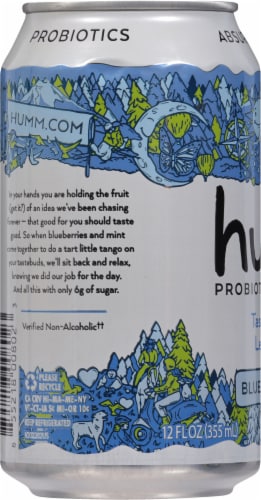 Humm® Blueberry Mint Probiotic Kombucha Single Can Perspective: left