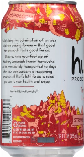 Humm® Strawberry Lemonade Probiotic Kombucha Single Can Perspective: left