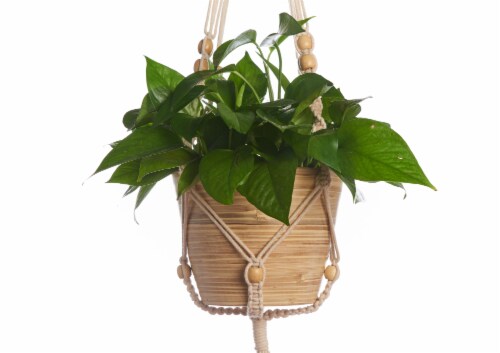 Primitive Planters Macrame Beaded Plant Hanger - Tan Perspective: left