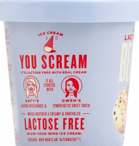 Beckon Ice Cream Sea Salt Chocolate Chip Lactose Free Ice Cream Perspective: left