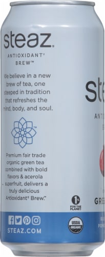 Steaz® Organic Blueberry Pomegranate Acai Iced Green Tea Perspective: left