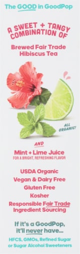 Goodpop Hibiscus Mint Pops Perspective: left