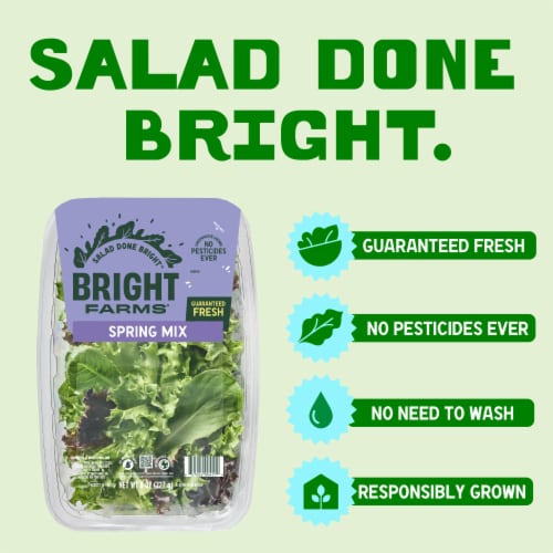 BrightFarms® Spring Mix Lettuce Family Pack Perspective: left