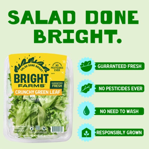 BrightFarms Crunchy Green Lettuce aka Sunny Crunch, 4 oz Salad Perspective: left