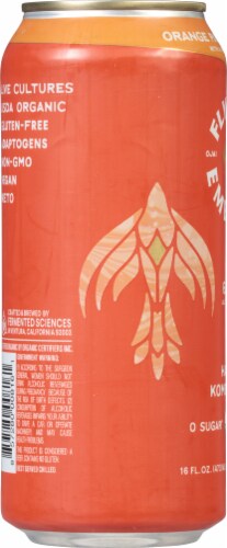 Flying Embers Hard Kombucha Single Can Perspective: left
