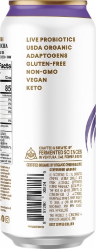Flying Embers Ancient Berry Organic Hard Kombucha Single Can Perspective: left