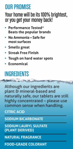 Dazz® Window and Glass Cleaner Fresh Mint Refill Tablets Perspective: left
