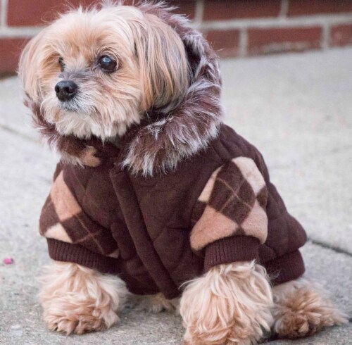 Pet Life Designer Patterned Suede Argyle Sweater Pet Jacket Perspective: left