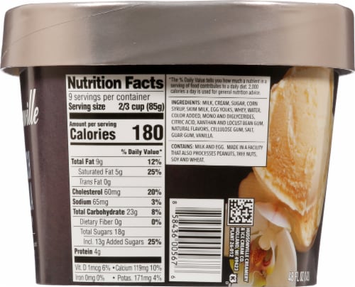 Hudsonville French Vanilla Ice Cream Perspective: left