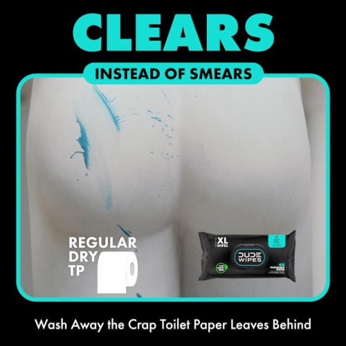 DUDE Wipes® XL Mint Chill Flushable Wipes Perspective: left