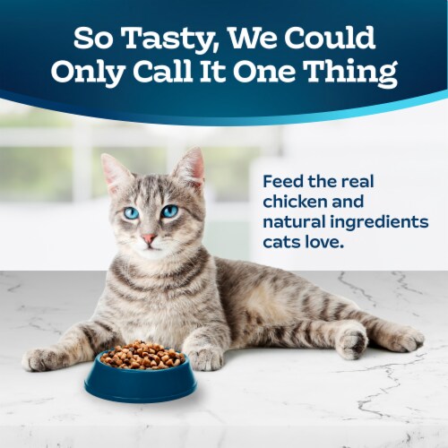 Blue Buffalo Tastefuls Natural Chicken and Brown Rice Indoor Adult Dry Cat Food Perspective: left