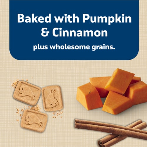 Blue Buffalo Health Bars Natural Pumpkin & Cinnamon Crunchy Dog Treat Biscuits Perspective: left