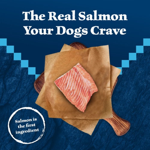 Blue Buffalo Wilderness Grain-Free Trail Treats Crunchy Dog Treats Biscuits Salmon Perspective: left