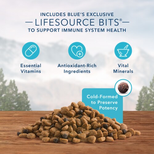 Blue Buffalo Wilderness High Protein Natural Chicken Adult Small Breed Dry Dog Food Perspective: left