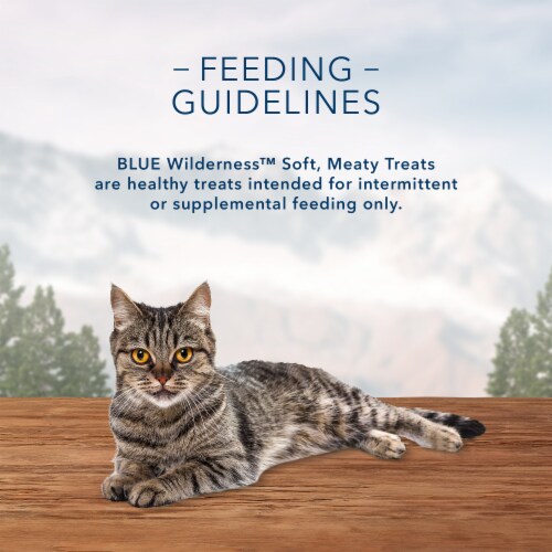 Blue Buffalo Wilderness Grain Free Soft-Moist Chicken & Salmon Cat Treats Perspective: left
