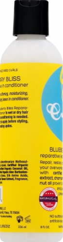 Curls™ Blueberry Bliss Reparative Leave-In Conditioner Perspective: left