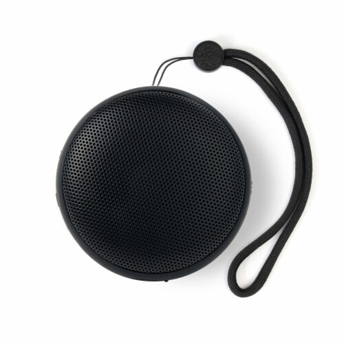 Speaqua Manta Ray Black Speaker Perspective: left