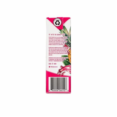 Blended Naturals™ Fab Fruit Punch Kids Juice Boxes Perspective: left