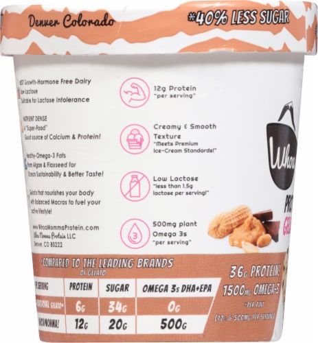 Whoa Momma! Peanut Butter Chocolate Chip Protein Gelato Perspective: left