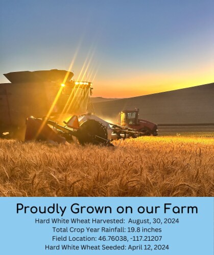 Palouse Brand Hard White Wheat Berries, 100 LBS (4 - 25 LB Bags) Perspective: left