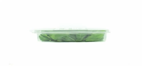 CityFarms Alaska Fresh Basil Perspective: left