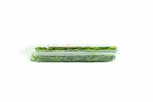 CityFarms Alaska Fresh Thyme Perspective: left