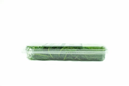 CityFarms Alaska Fresh Dill Perspective: left