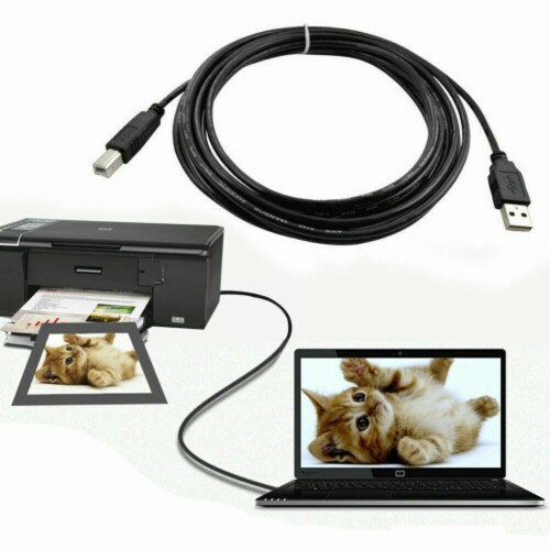 Printer Cable USB 2.0 A to B A Male to B Male Compatible with HP Cannon Epson Dell Brother Perspective: left