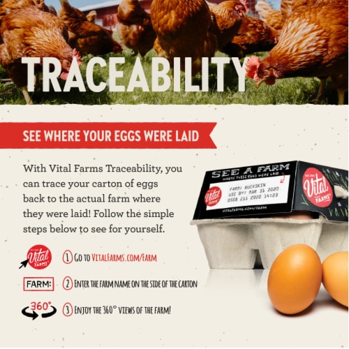 Vital Farms® Pasture-Raised Large Brown Organic Eggs Perspective: left