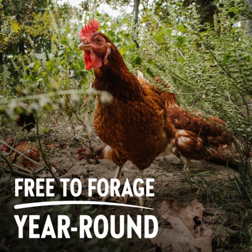 Vital Farms® Pasture-Raised Large Eggs Perspective: left