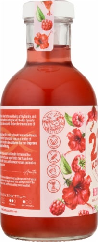 Kombucha 221 BC Berry + Hibiscus Kombucha Perspective: left