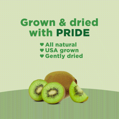 RIND Snacks Tangy Kiwi Dried Fruit Superfood - 3oz Bags, 6 Bags Total Perspective: left