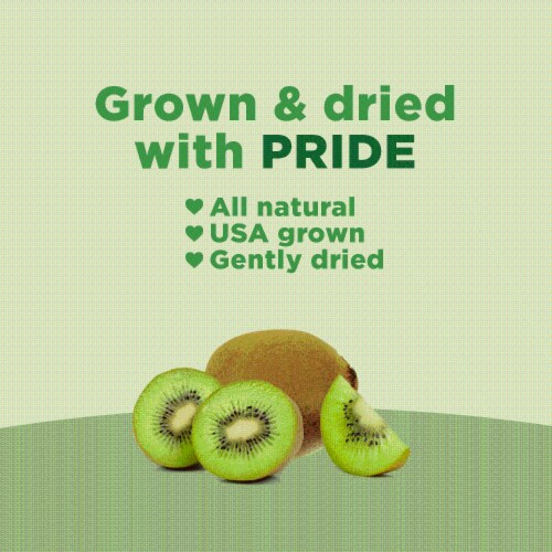 RIND Snacks Tangy Kiwi Dried Fruit Superfood - 3oz Bags, 6 Bags Total Perspective: left