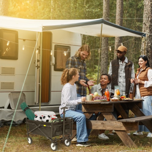 Seina Heavy Duty Compact Collapsible Outdoor Garden Camping Utility Wagon - Black Perspective: left
